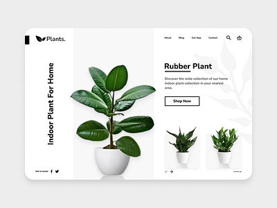 Landing Page Shoop Plant