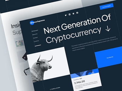 Binance Supreme - Cryptocurrency Landing Page app bold branding crypto design fintech nft nftmarketplace outsatnding roadmap trading ui uidesign user experience userinterface ux