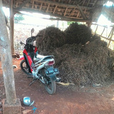 Abdul Karim Al-Hakim