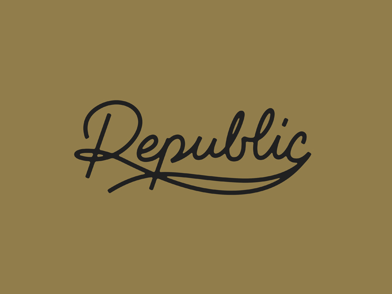 Republic logotype branding lettering logo mark type vector
