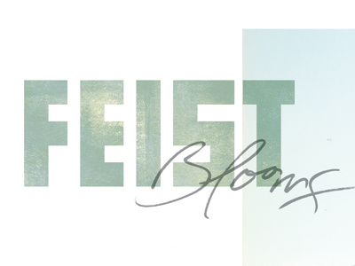 Feist Type editorial typography