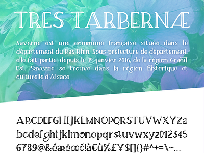 Tres Tabernæ font handdrawn script