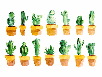 🌵🌵🌵 watercolor cactus paint plants