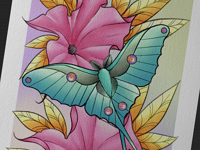 Luna Moth By Leila Dee On Dribbble