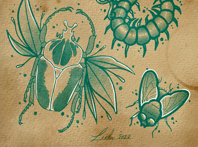 Bugs Bottom art bugs design illustration insects nature neotraditional procreate tattoo tattooart tattoodesign
