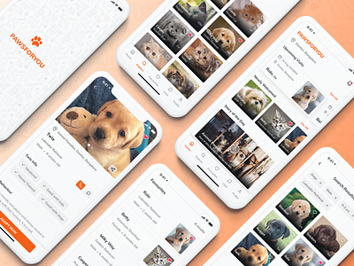 PawsForYou - Pet Adoption App adoption app application cats design dogs doodle explore favorites home mobile pets splashscreen ui ux