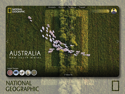 National Geographic // Concept Design app branding design travel ui uidesign uiux ux webdesign website design