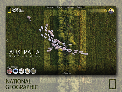 National Geographic  //  Concept Design