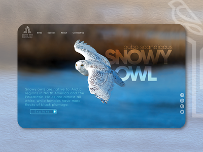 World Bird Sanctuary branding interactivedesign travel ui uidesign uiux ux webdesign website website design
