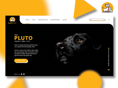 Planet Paws Adoption Concept Website Design branding design illustration typography ui uidesign uiux ux webdesign website design