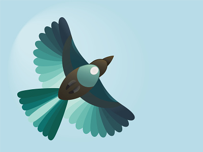Tui bird bird illustration flying flying high illustrator illustrator design illustrators new zealand tui