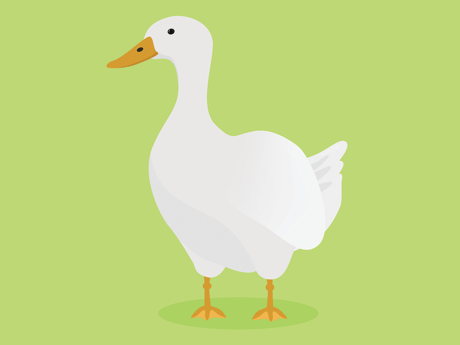 Duck by Amanda Hughes on Dribbble