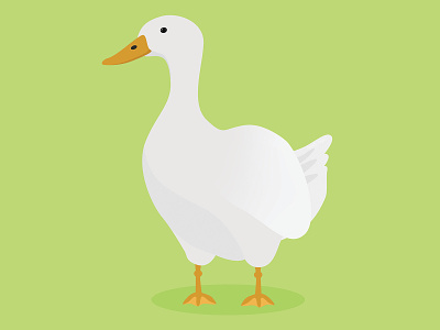 Duck animal duck graphic illustration illustrator illustrator design