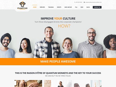 Quantum Monkeys webdesign