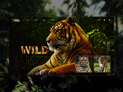 Design Page Nat Geo Wild branding branding design design landingpage minimal ui ux web website