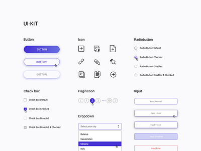 UI KIT app design icon illustration minimal typography ui ux web