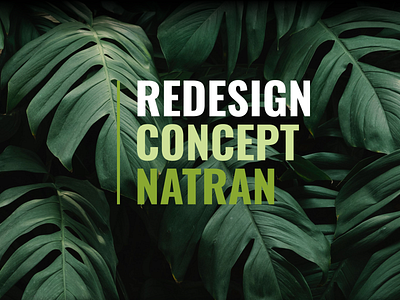 Redesign Concept Natran branding branding design creative design illustration logo minimal ui ux web website