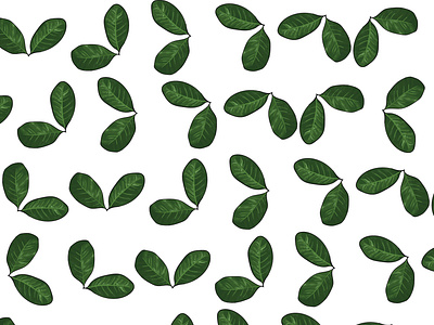 COFFEE Plant adobeillustator digital digitalart graphic graphicdesign green ilustrator leaves nature pattern pattern design plant plant illustration