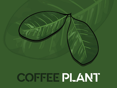 Untitled 2 02 coffee coffeeplant design digital illustration digitalart graphic graphic art graphicdesign graphics green illustration illustration art illustrator nature plant plant illustration vector vector art