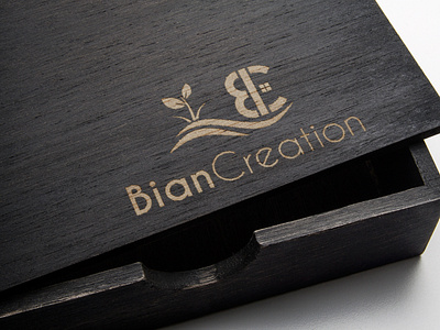 bian creation MockUp Logo