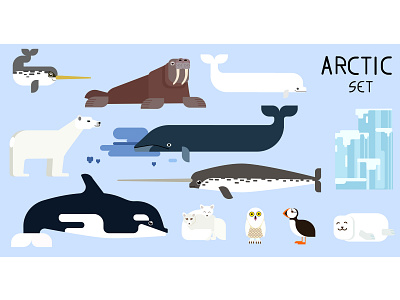 arctic set small animals arctic cartoon flat icon illustraion set design vector