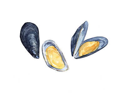 Mussels food illustration illustration mussels painting seafood shellfish watercolor