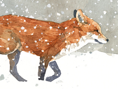 Fox in Snow watercolor animal fox illustration painting watercolor wildlife