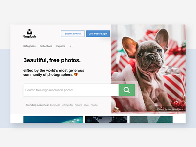 Uninvited redesign: Unsplash adobe xd clean dog grid home page homepage homepage design minimal photo photograhy redesign search bar stock stock images trending ui unsplash ux