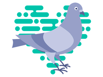 Pigeon bird pigeon