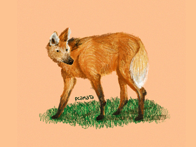 Proteja o Lobo Guará animal illustration character digital art digital artist digital illustration digital painting extinct illustration ilustração wolf