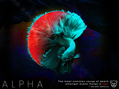 Alpha Beta Fish Poster alpha betafish design digital art illustration photoshop photoshop art photoshop editing