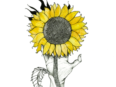 Sunflower by Valeria Duka on Dribbble