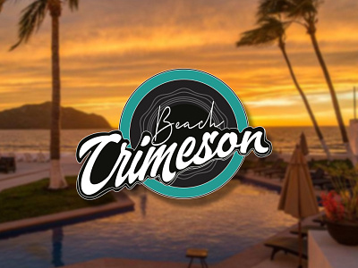 Beach Crimeson branding fancy graphic design illustration logo logo deisgn modern