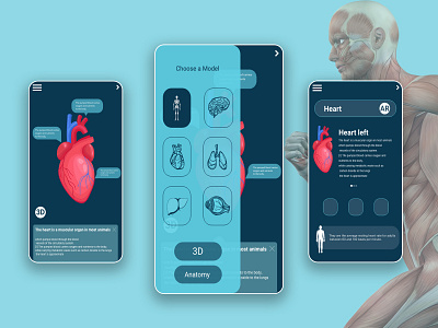 Anatomy- AR App app application design flat illustration ui ui design