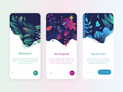 Onboarding Magic Plant World 🌱