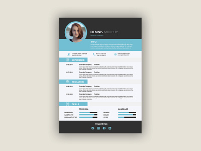 Resume Template / CV professional resume resume