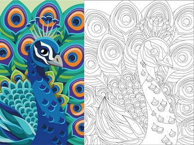 Peacock. Coloring page by numbers. by Julia Vectra on Dribbble