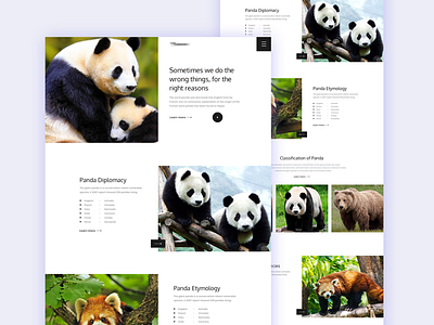 Panda-Landing Page Idea agency app clean creative design digital exploration illustration landing logo management minimal project resources saas solution trend typography ui web