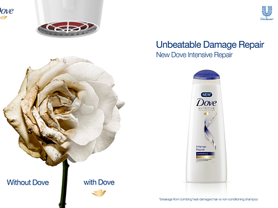 Dove Kv branding design