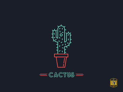 Cactus cactus color colors design icon iconography neon outline simple vector venezuela