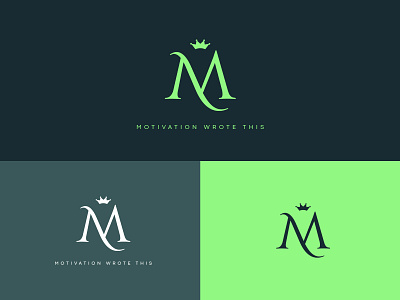 Visual Identity branding design graphic design logo