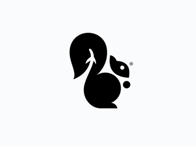 Squirrel plane brand drawing logo squirrel