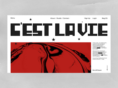 C'est La Vie - Landing Page branding custom design minimal typography ui web website