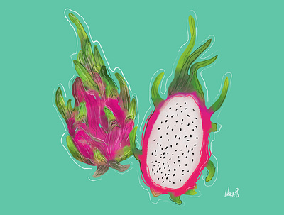 Pitaya digital watercolor illustration colorful exotic exotic fruit fresco fresco illustration fruit fruit illustration happy pitaya