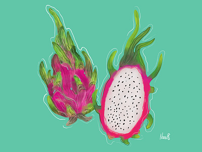 Pitaya digital watercolor illustration