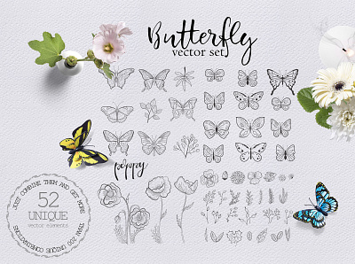 Butterflies illustration butterflies butterfly collection collections flying illustration illustration art illustrations set sticker stickers vector vector art vector illustration