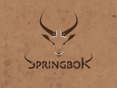 Springbok animal identity springbok