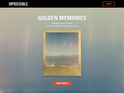 Impossible Project homepage