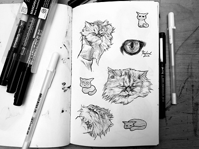 Cat sketch cat sketch pen and ink penandink sketch sketchbook traditional art