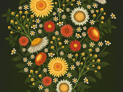 strawflowers and leaves floral flowers procreate